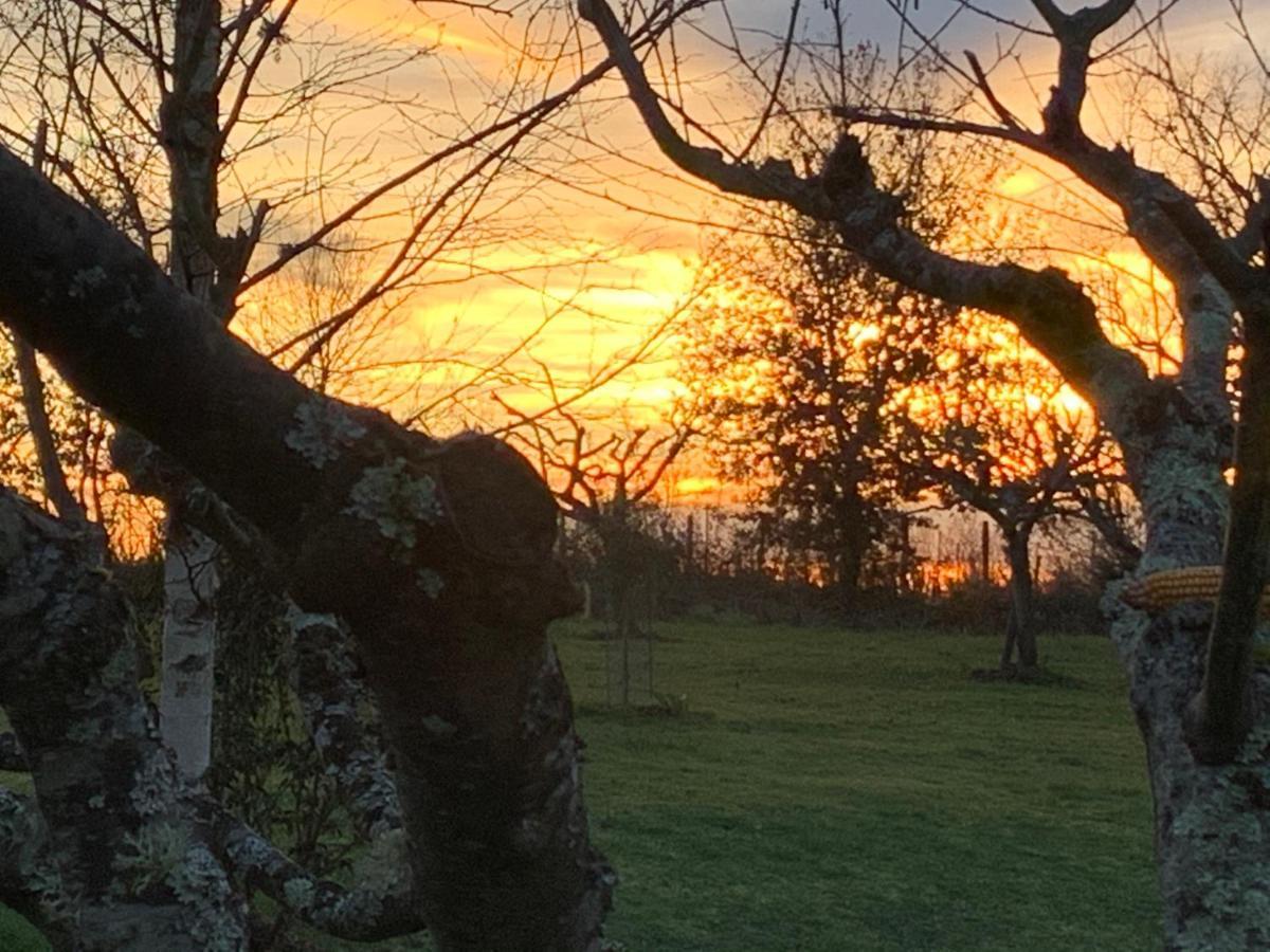 Majellon, Appartement A L'Ouest Sainte-Christie-d'Armagnac Bagian luar foto