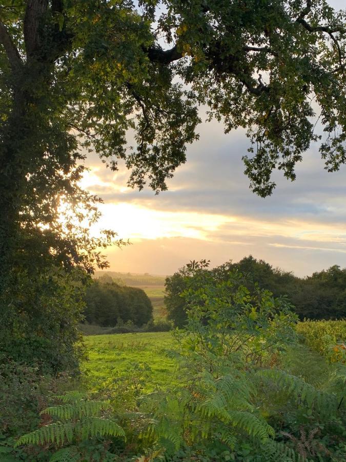 Majellon, Appartement A L'Ouest Sainte-Christie-d'Armagnac Bagian luar foto